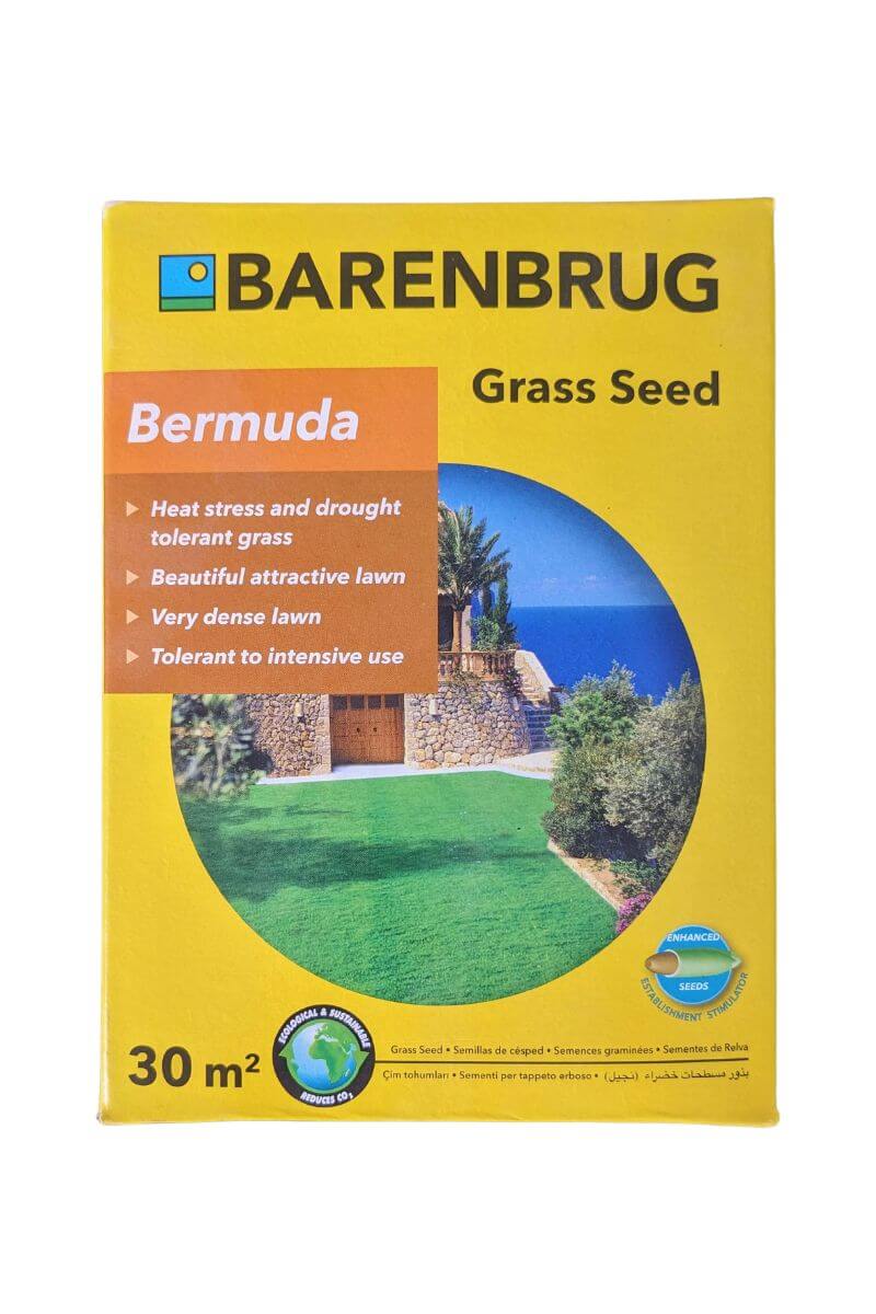 Semi Bermuda Barenbrug: prati resistenti al traffico (campi sportivi e aree urbane) con rapida ripresa e colore verde intenso