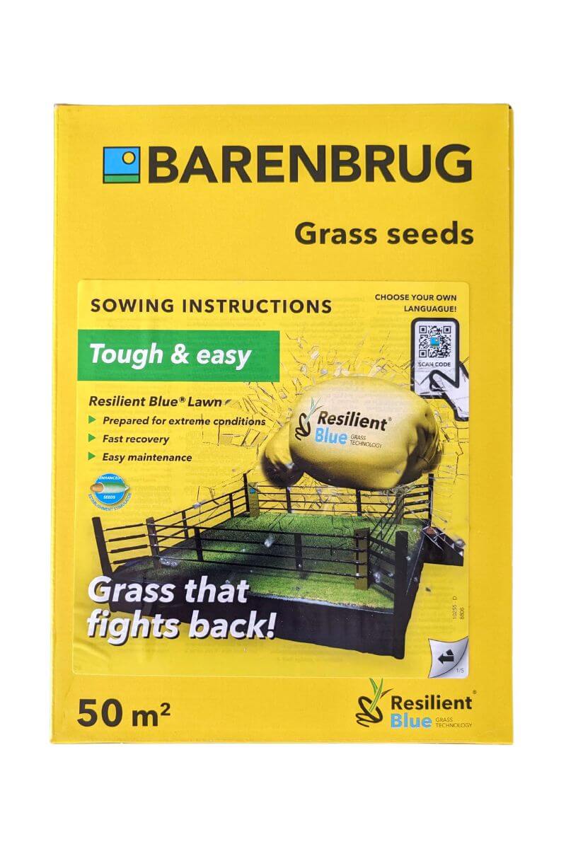 Resilient Blue Lawn Barenbrug: Semi per prati resistenti a caldo, siccità, traffico, ideale per aree ornamentali e ricreative