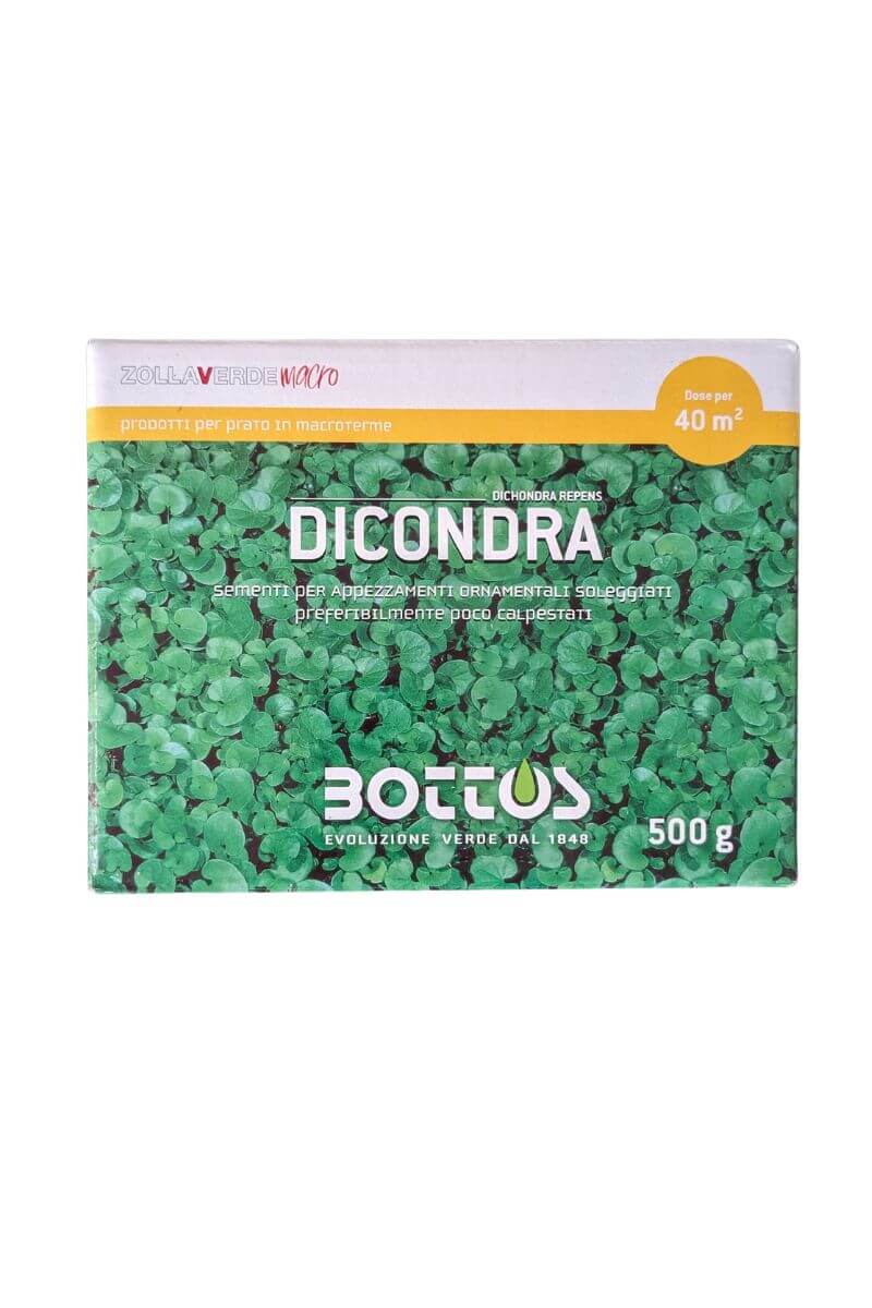 Semi Dichondra Bottos: perenne per giardini, resistente a caldo e siccità, a bassa manutenzione, forma tappeti erbosi densi