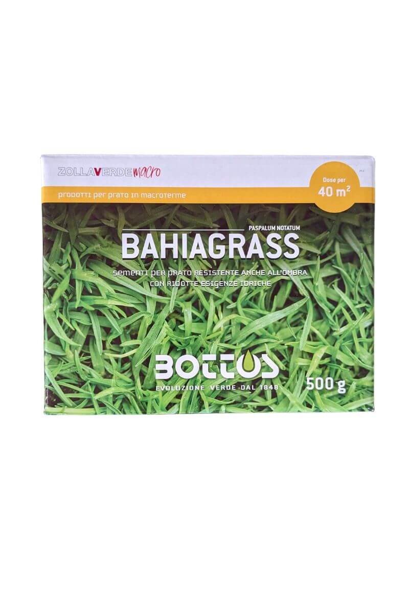 Bahiagrass Bottos: semi per prato denso e resistente a caldo e ombra, ideali per giardini e parchi, facile da mantenere