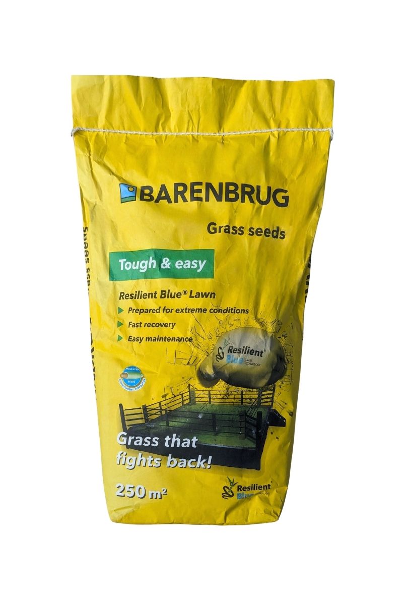 Resilient Blue Lawn Barenbrug 5 kg Semi per prati resistenti a caldo, traffico, ideale per aree ornamentali e ricreative