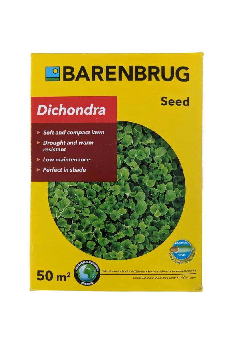 Semi di Dichondra Repens Barenbrug: erba perenne ideale per prati ornamentali e giardini resistenti a caldo e siccità