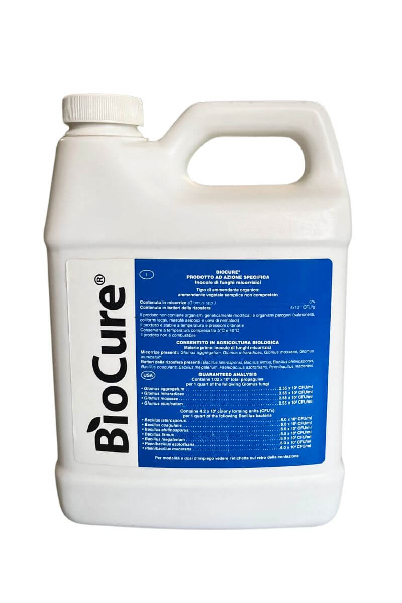 BIOCURE ammendante biologico con micorrize e batteri per radici forti e migliore assorbimento dei nutrienti nelle piante