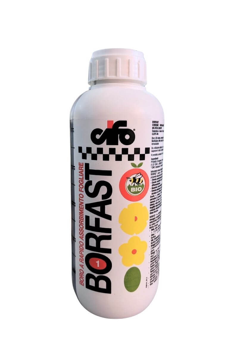 Borfast Cifo concime con boro 1 L per prevenire carenze e favorire crescita sana e allegagione in agricoltura biologica