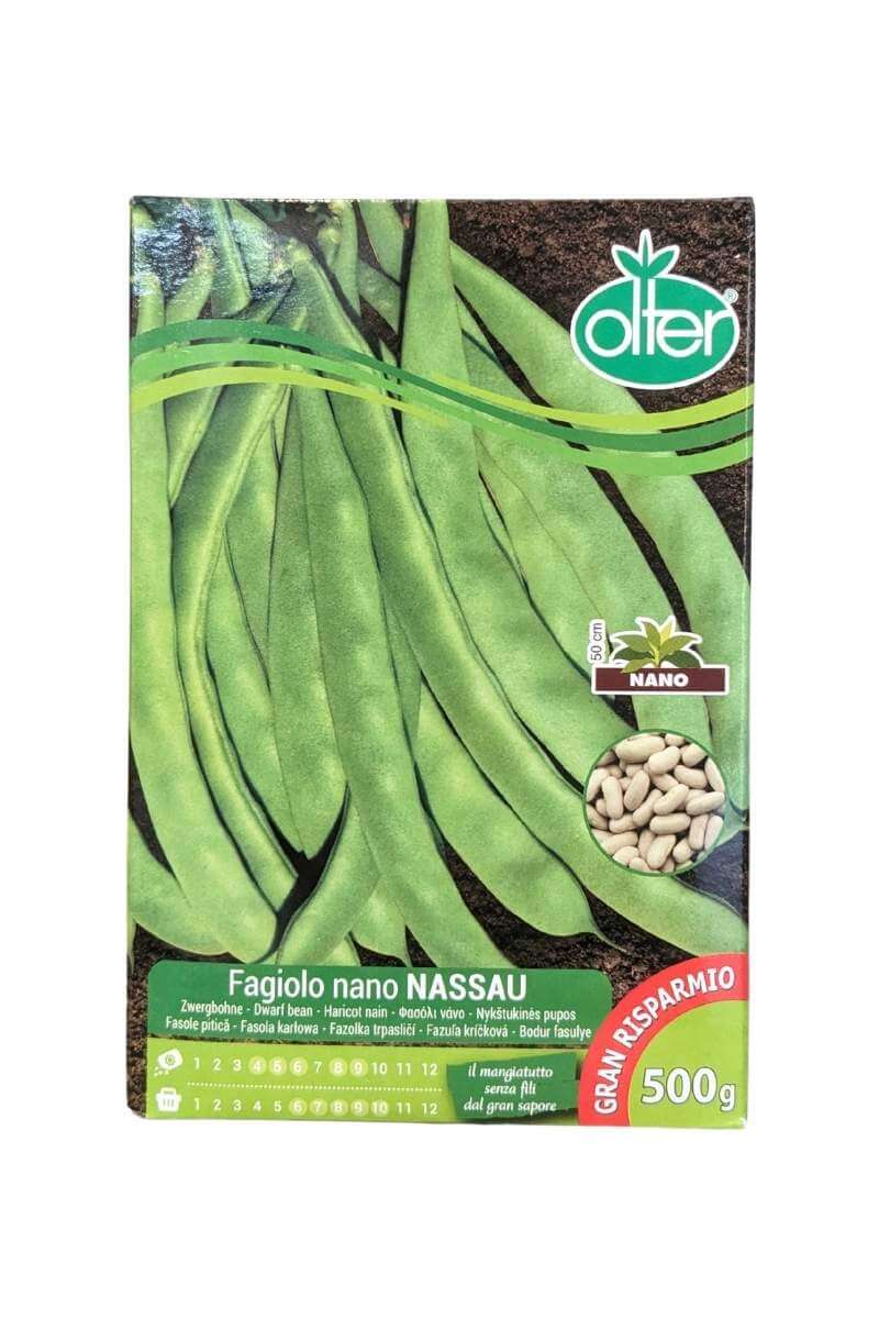 Fagiolo Nano Nassau 500 g, pianta vigorosa, baccello verde piatto senza filo, resistente al BCMV, ideale per pieno campo