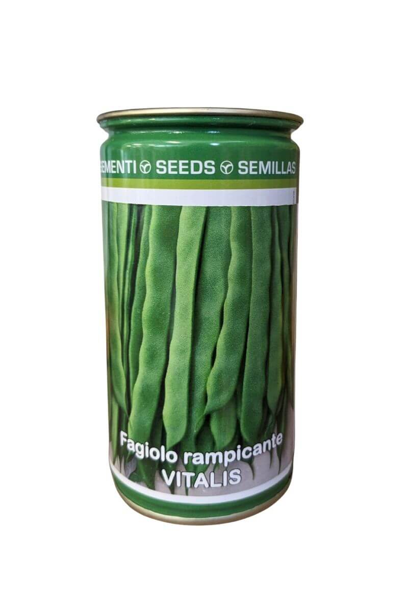 Fagiolo Rampicante Vitalis 500 semi (250 g) Blumen, baccello verde intenso, senza filo, resistente al BCMV.
