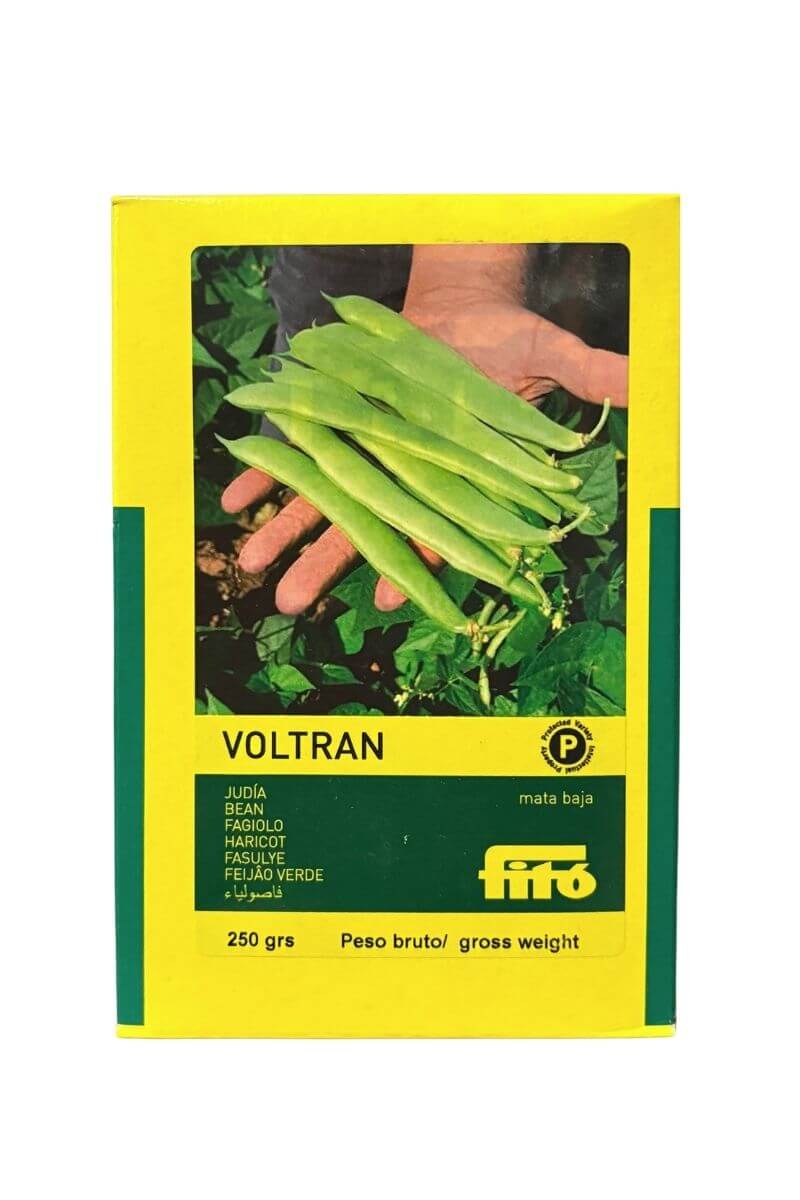 Semi fagiolo Voltran Fitó a baccello piatto verde intenso. Confezione 250 g