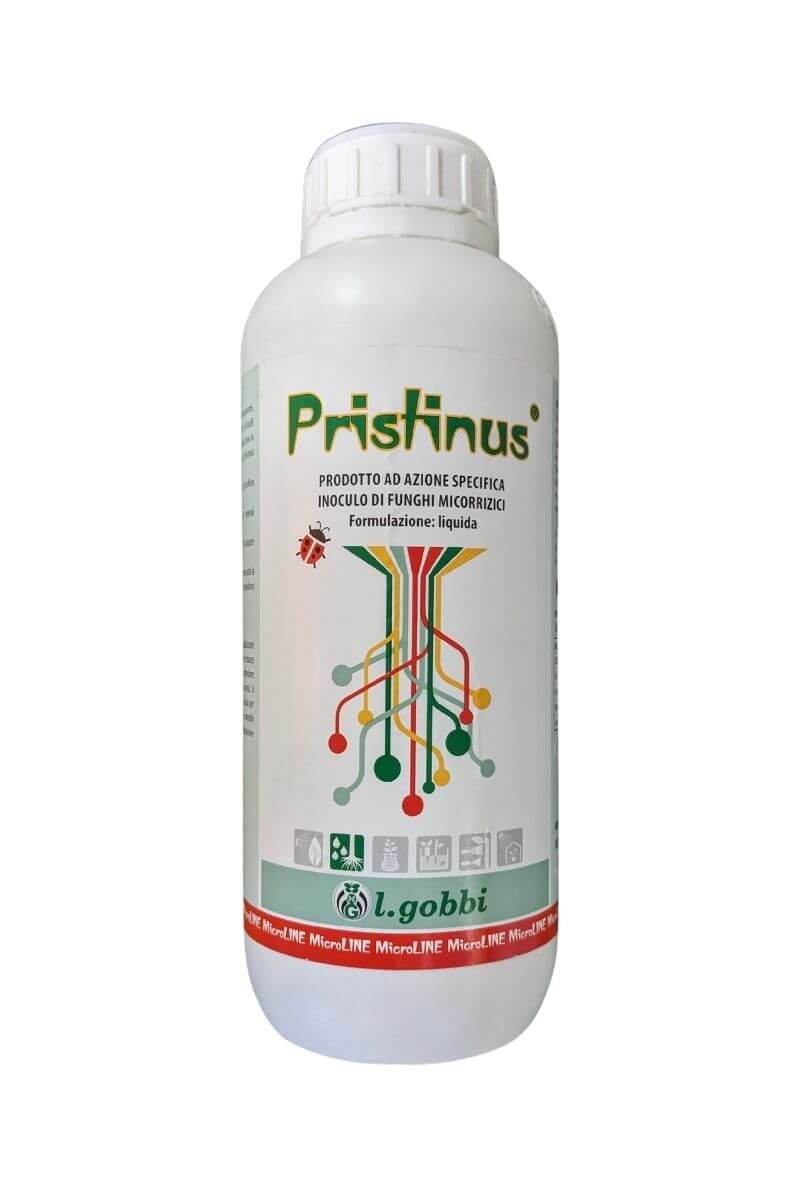 Pristinus L. Gobbi: biostimolante naturale per ripristinare la fertilità del terreno e l'equilibrio della microflora utile.