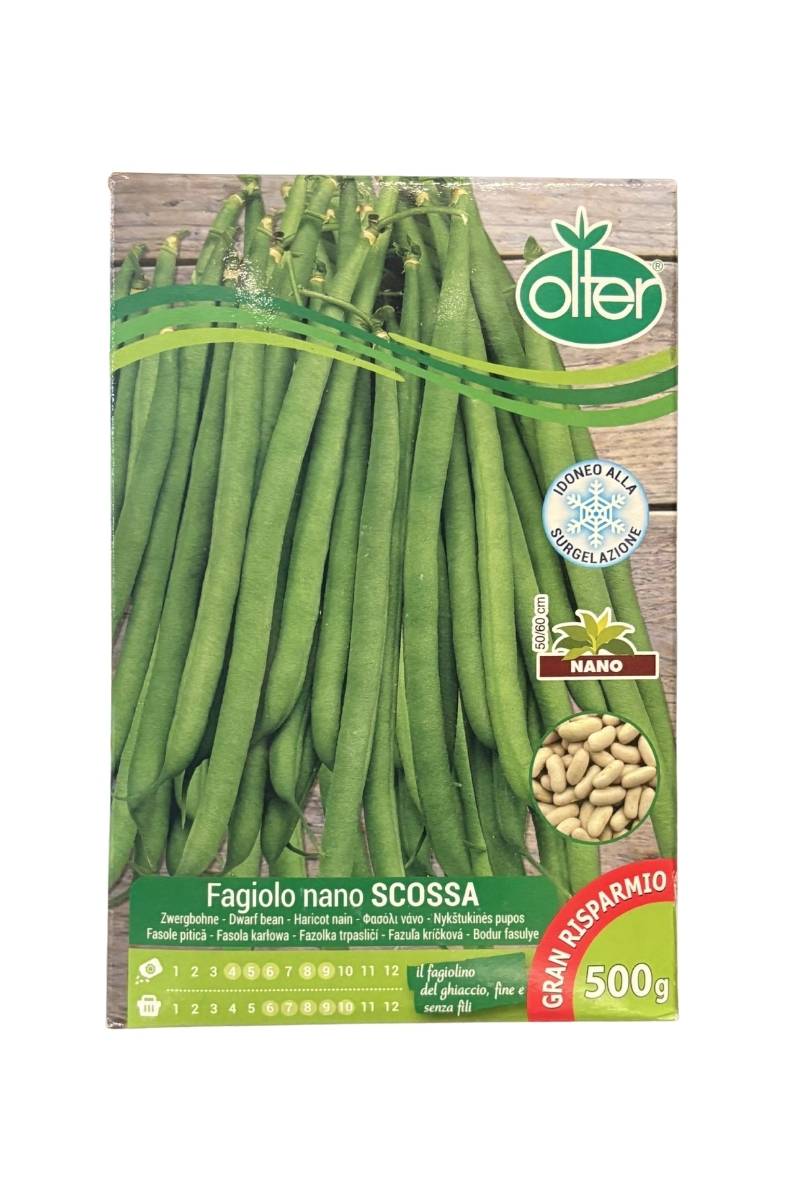 Fagiolo Nano Scossa mangiatutto semi Olter. Confezione 500 g