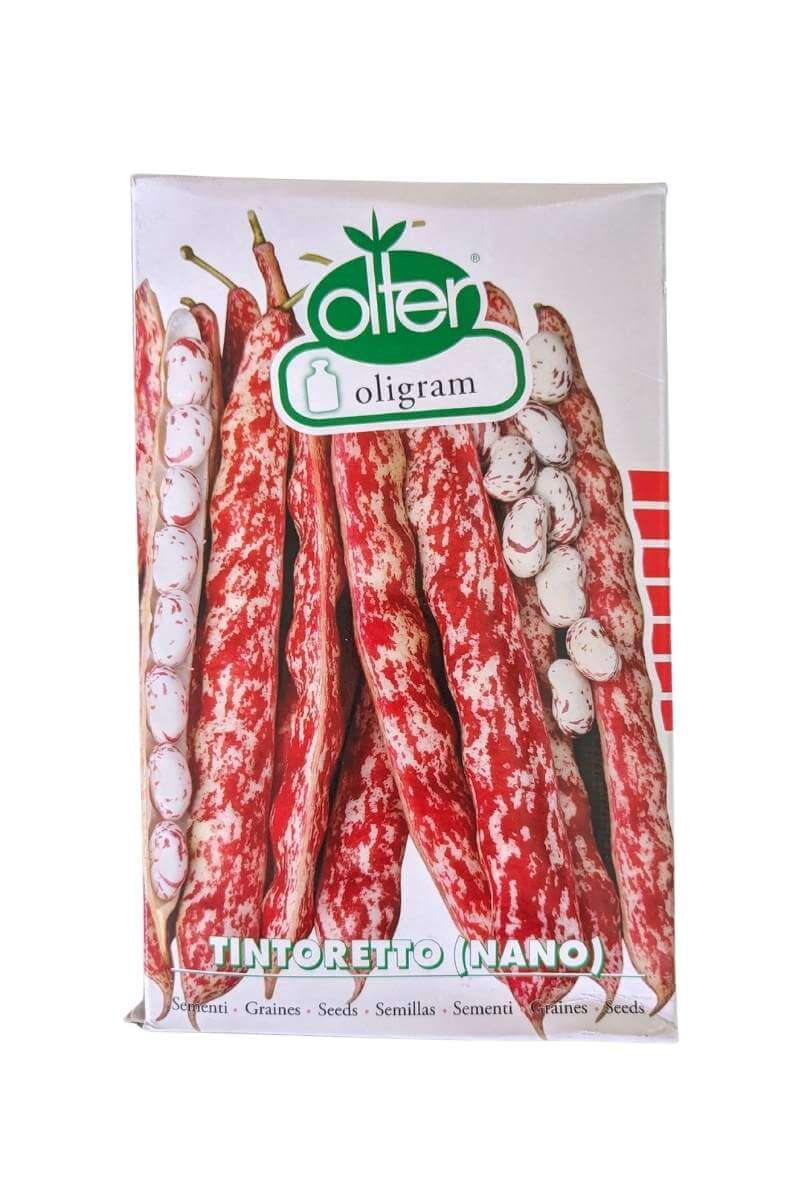 Tintoretto Fagiolo Nano (tipologia Supremo) Olter (1 kg): varietà precoce con baccelli diritti di 16-18 cm e 8-9 grani