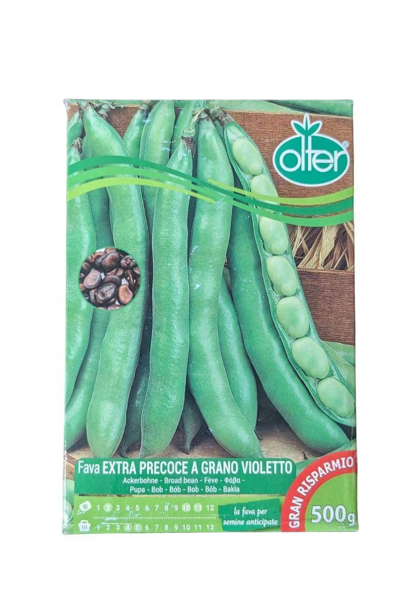 Fava Extraprecoce Olter (500 g) matura in 110 giorni e offre baccelli con 5-6 grani ricchi di sapore