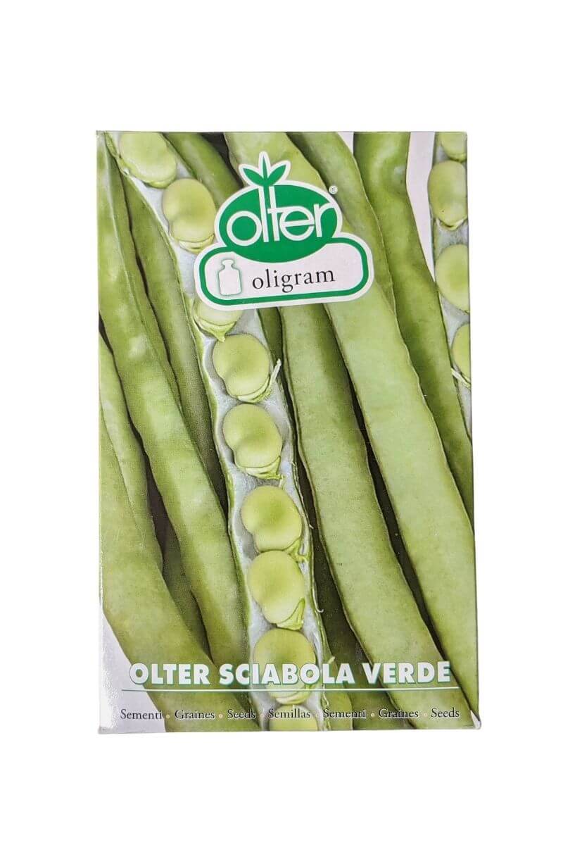 Fava Sciabola Verde Olter (1 kg): pianta vigorosa con baccelli lunghi 35-40 cm e 8-9 grani dal sapore dolce e tenero