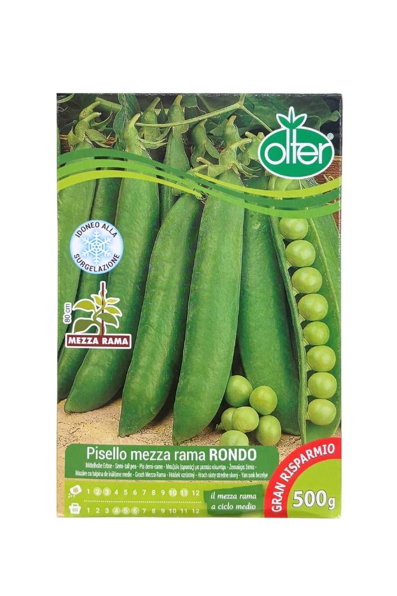 Pisello Rondo mezza rama a grano rugoso con baccelli ricchi e saporiti - Olter 500 g