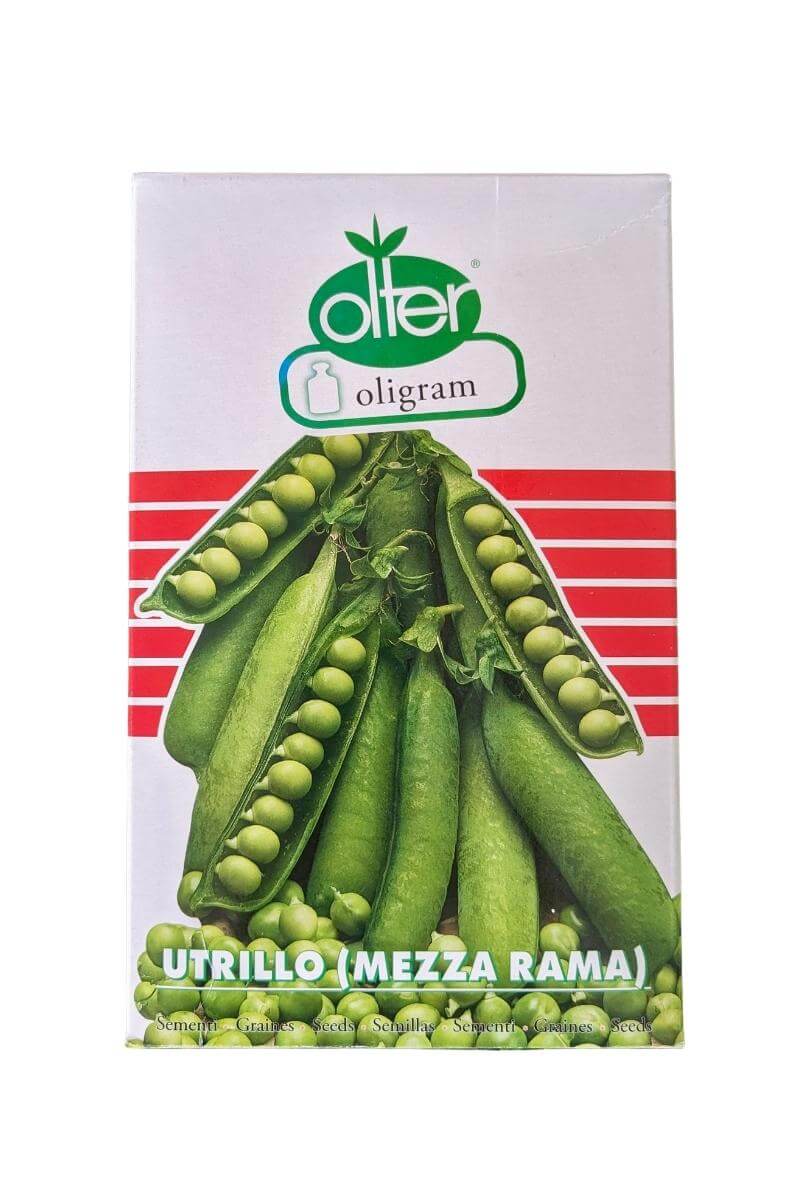 Pisello Mezza Rama Utrillo a Grano Rugoso Olter (1 kg): pianta vigorosa con baccelli lisci e affusolati e grani saporiti