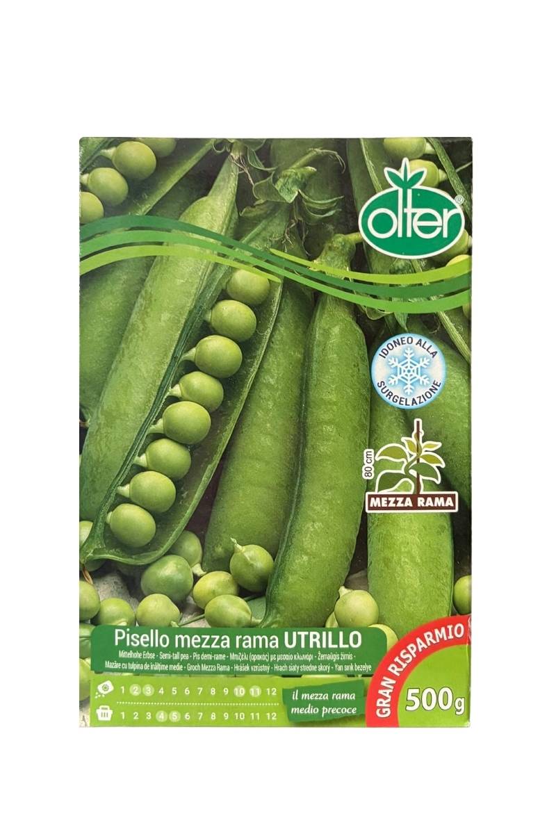 Pisello Mezza Rama Utrillo a Grano Rugoso Olter 500 g: pianta vigorosa con baccelli lisci e affusolati e grani saporiti