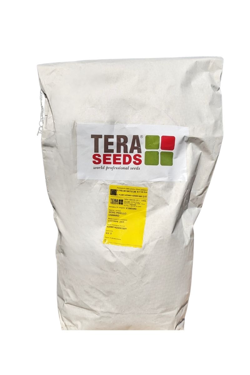 Sacco da 5 kg di semi di pisello Onward Tera Seeds, varietà produttiva con baccelli verdi da 10–12 cm.