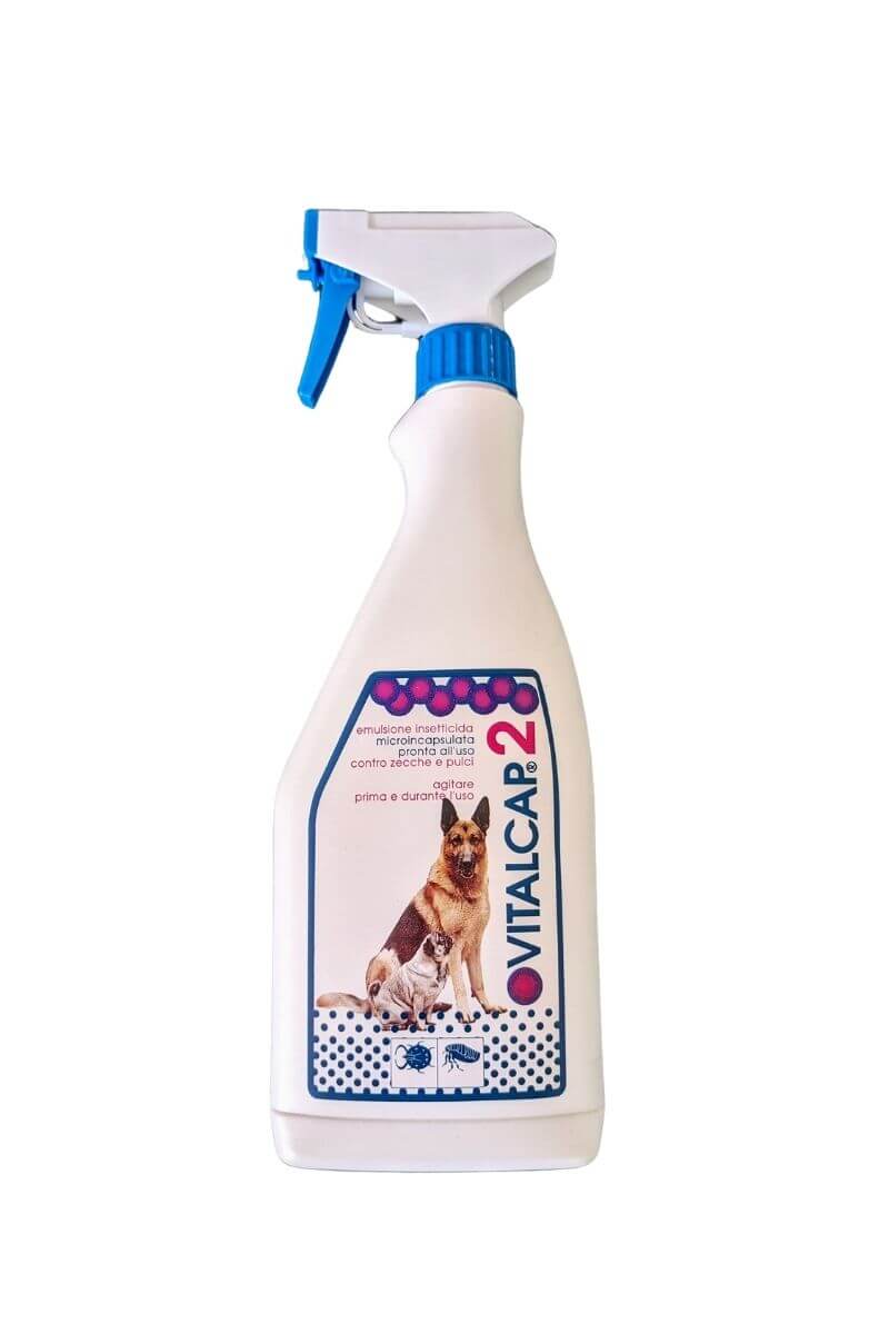 VITALCAP 2 Zapi: Insetticida per Protezione contro Scarafaggi, Pulci, Zecche, Cimici in Ambienti Civili e Animali Domestici