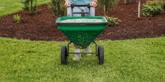 Quando si semina il prato? Guida stagionale completa