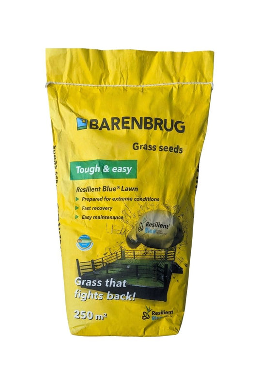 Resilient Blue Lawn Barenbrug 5 kg Semi per prati resistenti a caldo, traffico, ideale per aree ornamentali e ricreative