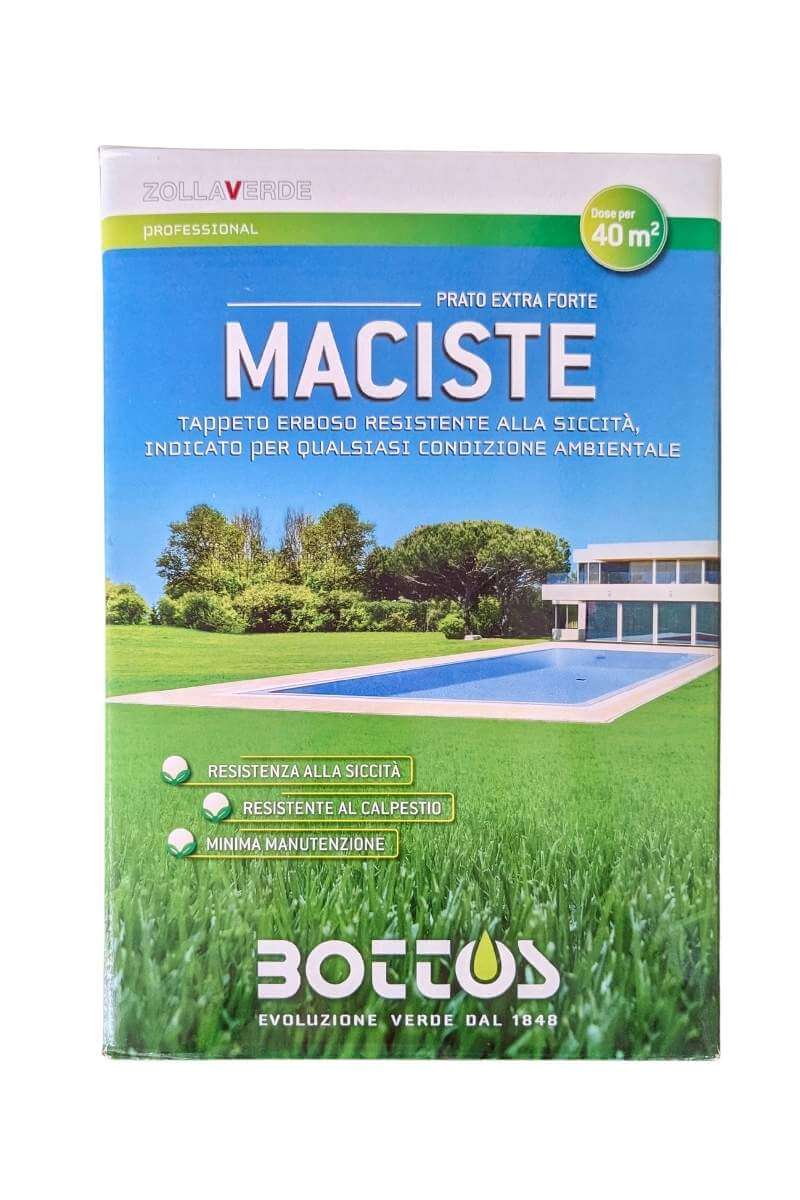 Maciste Bottos: miscuglio di semi per tappeti erbosi verdi e resistenti al caldo, ideale per prati ornamentali e ricreativi