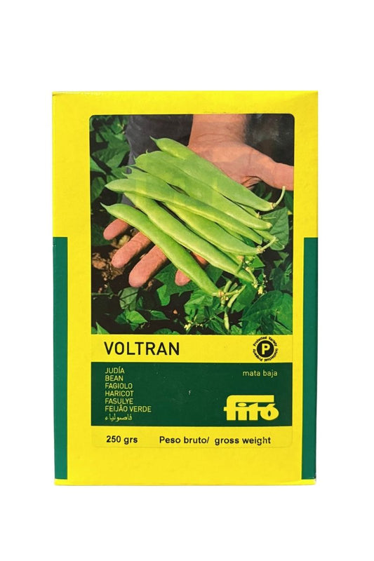 Semi fagiolo Voltran Fitó a baccello piatto verde intenso. Confezione 250 g