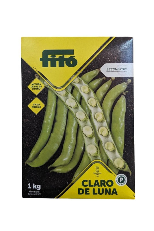 Fava Claro de Luna, foglie strette, precocissima, raccolti freschi da ottobre. Confezione 1 kg