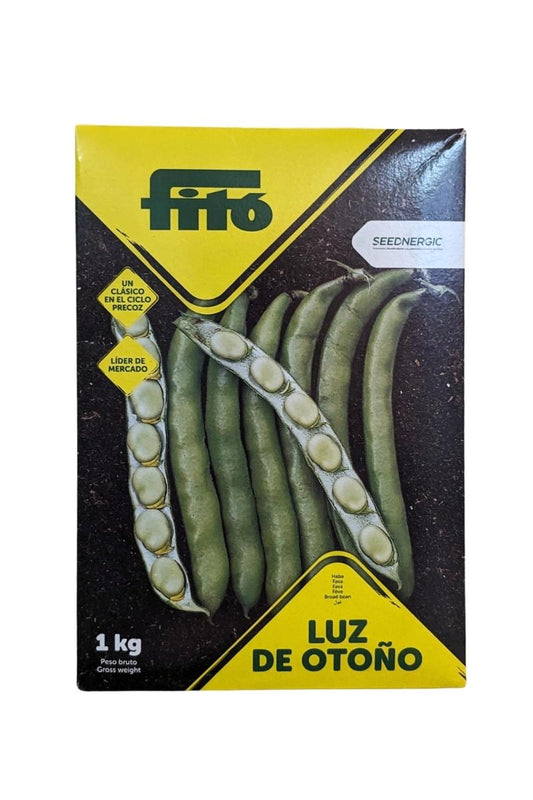 Fava Luz de Otoño, foglie strette, precoce, produzione costante per raccolti autunnali. Confezione 1 kg