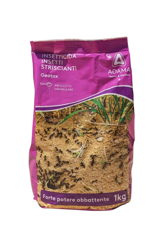 Geotox Adama insetticida in polvere pronta all'uso (1 kg) contro insetti come formiche, blatte, pulci e zecche