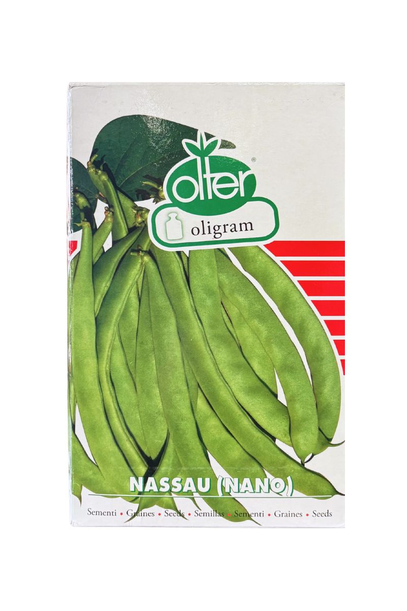 Semi fagiolo Nassau nano mangiatutto baccello piatto verde 1 kg Olter