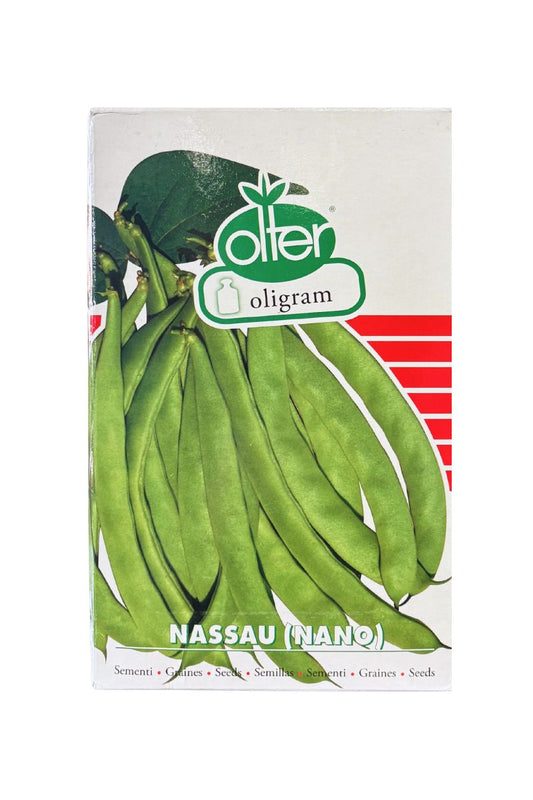 Semi fagiolo Nassau nano mangiatutto baccello piatto verde 1 kg Olter