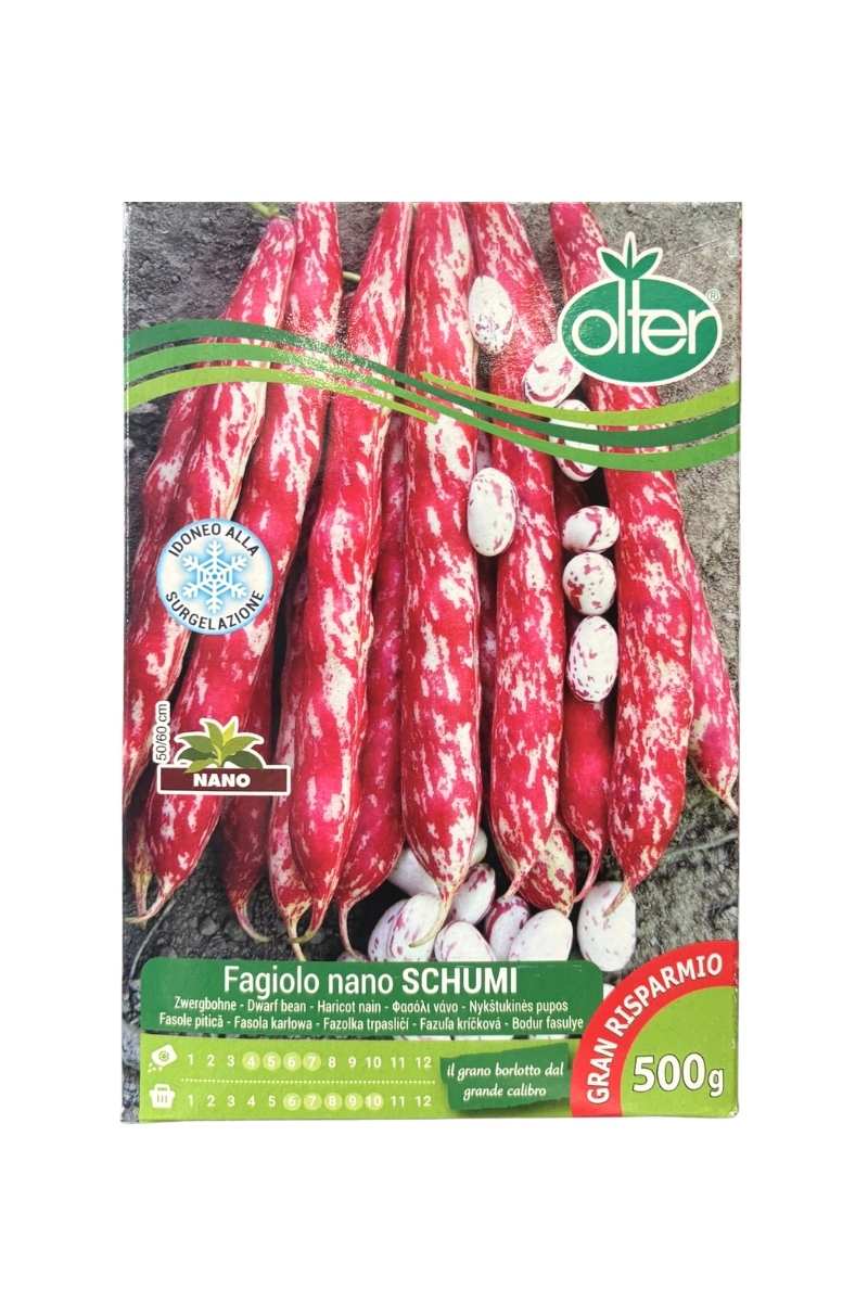 Fagiolo Nano Schumi Borlotto Semi Olter. Confezione 500 g