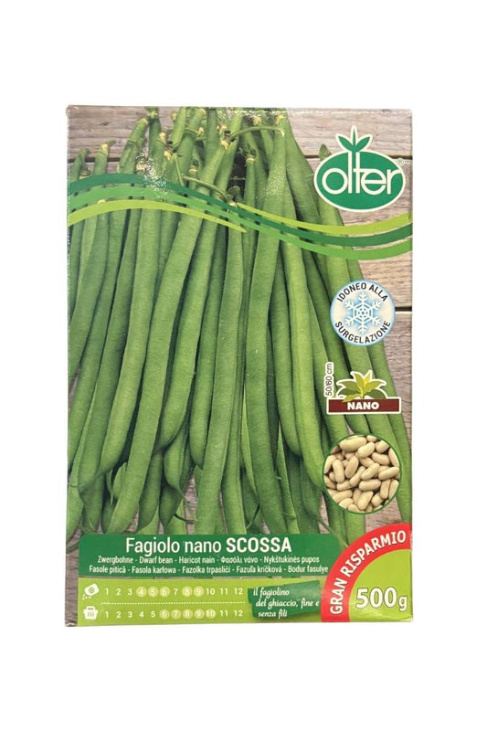 Fagiolo Nano Scossa mangiatutto semi Olter. Confezione 500 g