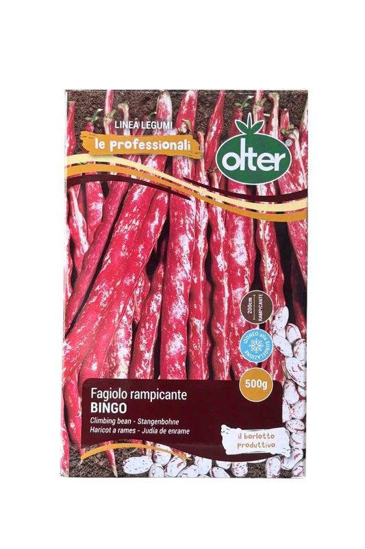 Semi Fagiolo Borlotto Bingo rampicante 500 g - Olter