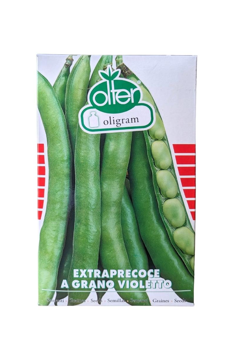 Fava Extraprecoce a grano violetto Olter (1 kg) matura in 110 giorni e offre baccelli con 6 grani ricchi di sapore
