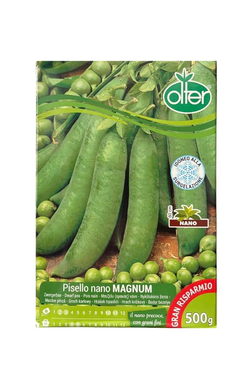 Pisello Magnum Nano a grano rugoso Olter 500 g: varietà precoce con baccelli diritti, di verde intenso e grani saporiti