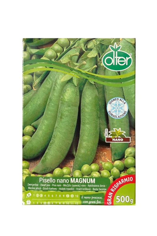 Pisello Magnum Nano a grano rugoso Olter 500 g: varietà precoce con baccelli diritti, di verde intenso e grani saporiti