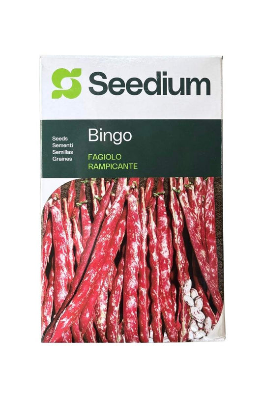 Semi Fagiolo Borlotto Bingo rampicante 1 kg - Seedium