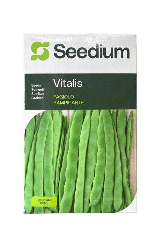 Fagiolo Rampicante Vitalis 1 kg Seedium, baccello verde intenso, senza filo, resistente al BCMV.