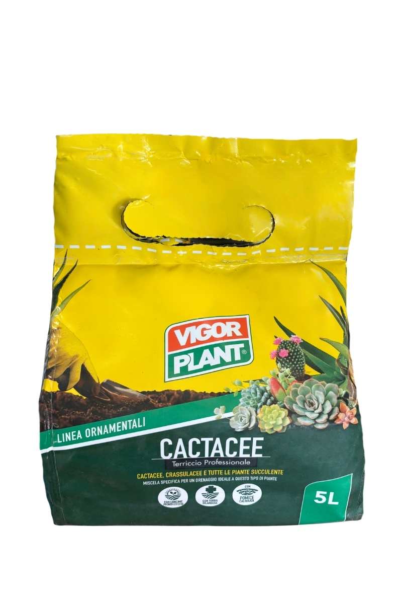 Vigorplant terriccio per cactacee e piante grasse 5 litri con elevato drenaggio